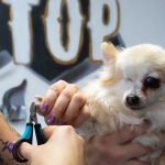 Pet Stop Rodgau_34
