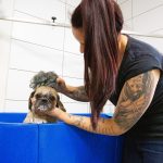 Pet Stop Rodgau_39