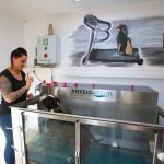 Pet Stop Rodgau