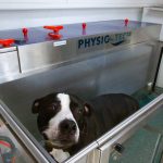 Pet Stop Rodgau_56